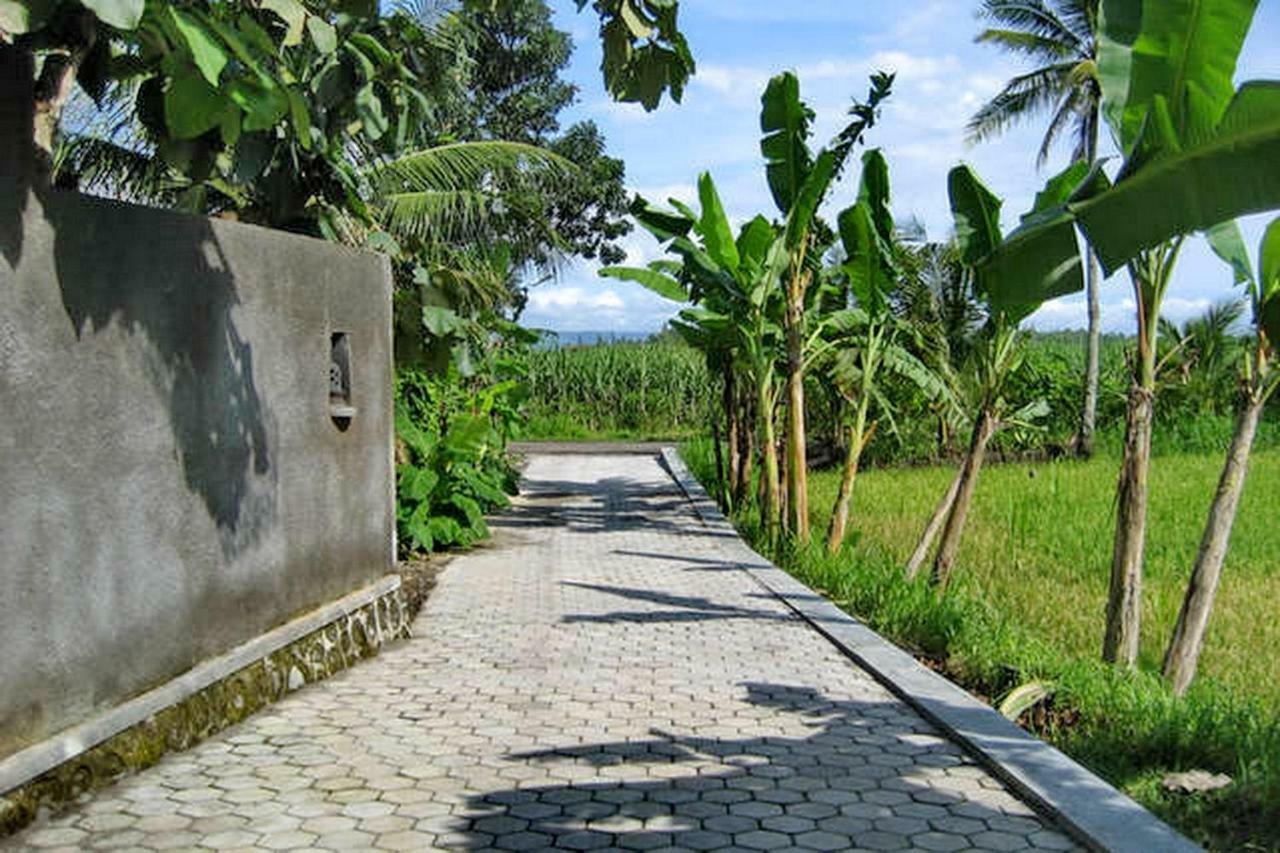The Sawah Home Hotel Jogyakarta Zewnętrze zdjęcie